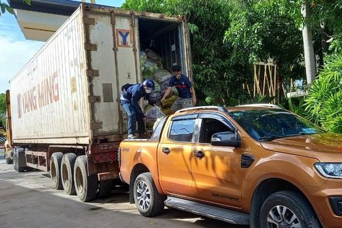 Chuyến xe chạy xuyên đêm chở rau củ từ Đà Lạt về tặng bà con TP.HCM