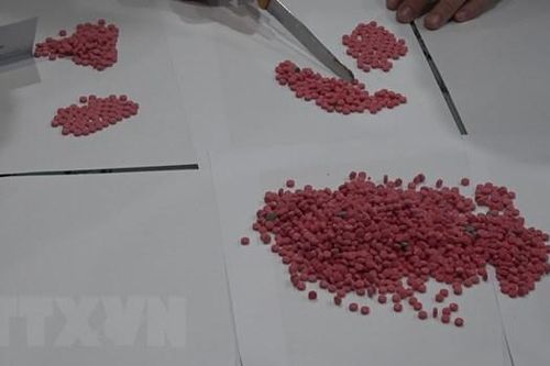 Công an Quảng Trị triệt phá thành công chuyên án ma túy lớn