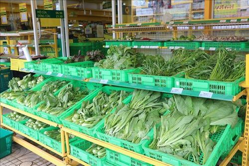 Kết nối giao thương tránh đứt gãy chuỗi cung ứng nông sản