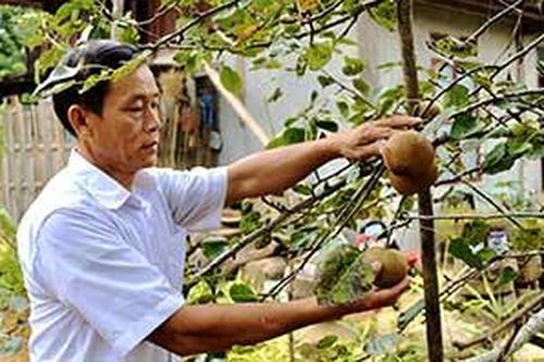 Người có uy tín tiên phong trên mọi 'mặt trận'Tin khácSáng mãi truyền thống 'uống nước nhớ nguồn'Nghị quyết 68: Kịp thời gỡ khó cho doanh nghiệp và người lao động