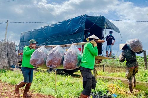 Để thúc đẩy tiêu thụ nông sản những tháng cuối năm