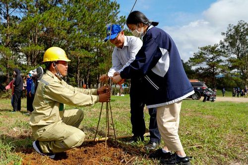 UBND tỉnh chỉ đạo tăng cường thực hiện có hiệu quả công tác quản lý, bảo vệ rừng