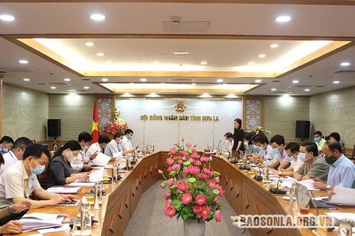Ban Kinh tế - Ngân sách HĐND tỉnh thẩm tra các nội dung trình Kỳ họp thứ 2 HĐND tỉnh