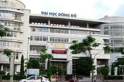 Đại học Đông Đô cấp bằng giả cho người học thạc sĩ, thi công chức