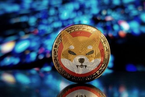 Dogecoin và Shiba Inu thu hút hàng trăm triệu nhà đầu tư