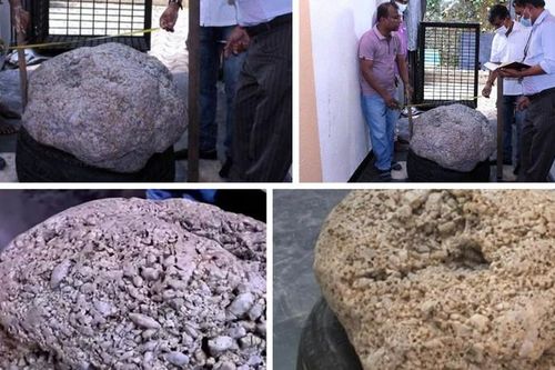 Hỳ hục đào giếng, bất ngờ chạm phải kho báu trăm triệu USD