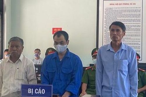 Chiếm đoạt tài sản của bố mẹ, 'quái tử' lĩnh án 7 năm tù