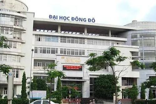 Đại học Đông Đô cấp 431 bằng và chứng nhận giả, thu lợi bất chính hơn 7,1 tỷ đồng
