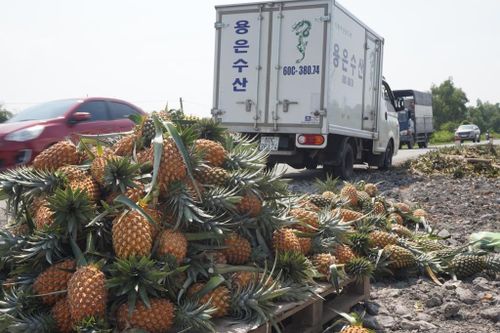 Long An không để ùn ứ, đứt gãy chuỗi cung ứng nông sản