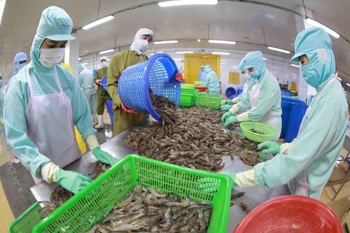 Hoa Kỳ không hạn chế thương mại với hàng hóa Việt Nam