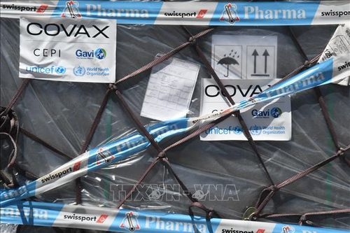 WHO tăng cường phân phối vaccine ngừa COVID-19 cho châu Phi