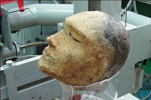Mang hộp sọ 2000 năm đi kiểm tra, các chuyên gia 'chết lặng': Đây không phải đầu của con người!