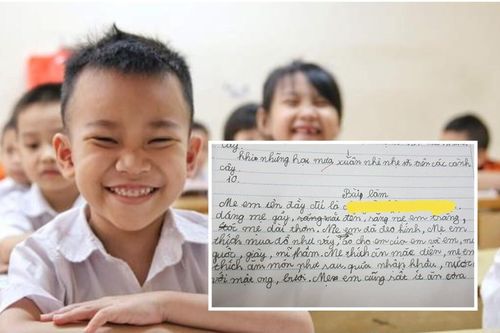 Học trò 'bóc phốt' mẹ với loạt tật xấu trong bài văn, nhưng câu chốt khiến ai nấy cũng nức nở khen