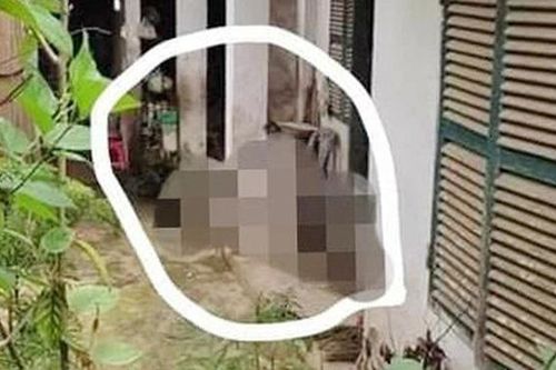 Điện Biên: Truy tìm hung thủ sát hại mẹ liệt sĩ