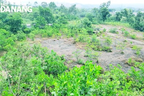 Xanh lại những vùng đất mỏ