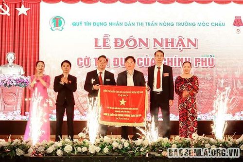 Xây dựng Quỹ đứng trong tốp đầu của hệ thống quỹ tín dụng cả nước