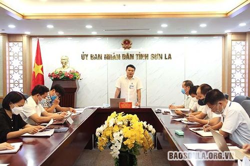 Xây dựng Đề án chuyển đổi số tỉnh Sơn La giai đoạn 2021-2025 và định hướng đến năm 2030
