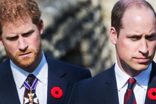 Lời nói lỡ miệng trong quá khứ của Hoàng tử William với em trai Harry: Câu chuyện có liên quan đến Meghan Markle