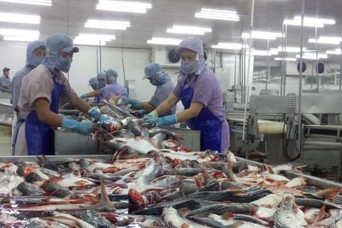 Tiền Giang: Doanh nghiệp thực hiện '3 tại chỗ' kêu cứu vì lệnh dừng hoạt động