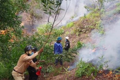 Phát hiện thi thể người đàn ông trong rừng keo bị cháy