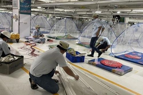 Cần họp khẩn tìm giải pháp cứu các nhà máy '3 tại chỗ' thành chùm F0