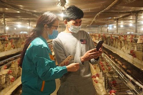 Tăng cường các giải pháp hỗ trợ doanh nghiệp khắc phục khó khăn do Covid-19