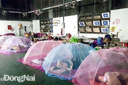 'Nóng' nhu cầu hàng thiết yếu cho sản xuất '3 tại chỗ'