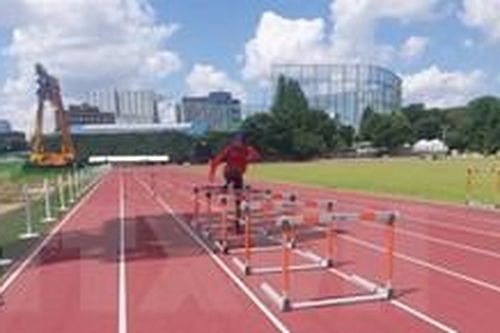 Cơ hội nào cho vận động viên cuối cùng của Việt Nam tại Olympic Tokyo?Tin khácPhát huy vai trò công tác tuyên giáo, tạo đồng thuận xã hôịSáng mãi truyền thống 'uống nước nhớ nguồn'