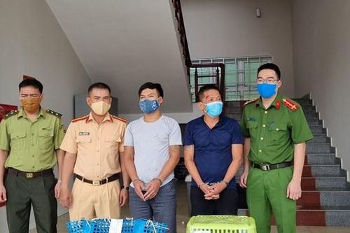 Tóm gọn 2 đối tượng vận chuyển 7 cá thể hổ trên xe ô tô con