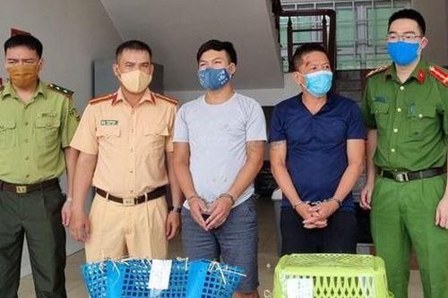 Bắt 2 đối tượng vận chuyển 7 cá thể hổ con