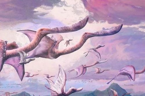 Khám phá loài quái vật có thể cất cánh bay ngay khi vừa sinh ra