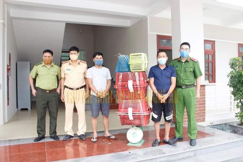 Bắt 2 đối tượng vận chuyển 7 cá thể hổ trái phép