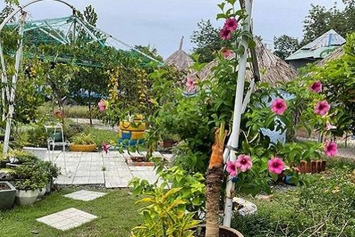 Vợ chồng biến 500m2 đất cằn thành khu vườn xanh mướt chỉ với 10 triệu đồng