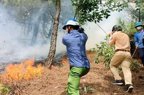 Thi thể người đàn ông được phát hiện giữa vườn keo sau vụ cháy lớn