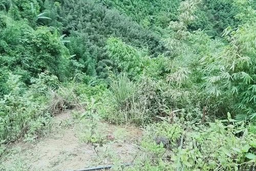 Người đàn ông tử vong sau tiếng nổ lớn trong lúc đang đi sửa ống dẫn nước ở Yên Bái