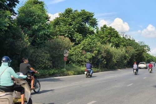 Trúng loạt gói thầu 'khủng', Công ty Cây xanh Hà Nội vẫn liên tục thua lỗ