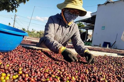 Một năm EVFTA có hiệu lực, hàng 'made in Việt Nam' xuất khẩu sang châu Âu tăng mạnh