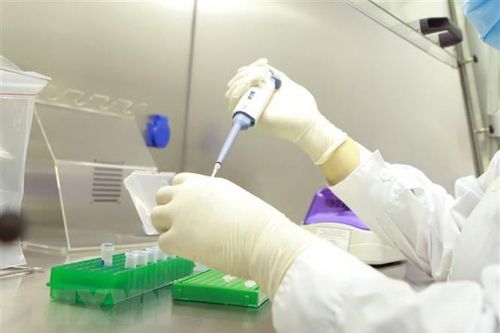 Việt Nam đã có 7 biến chủng của virus SARS-CoV-2