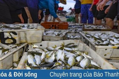 Chợ cá vùng bãi ngang