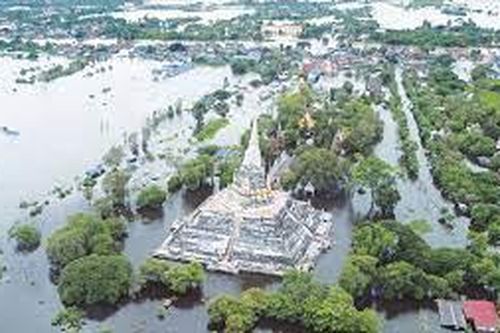 Hành động ứng phó với biến đổi khí hậu
