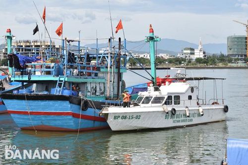 Kiểm soát chặt, không cho tàu cập trái phép vào bến