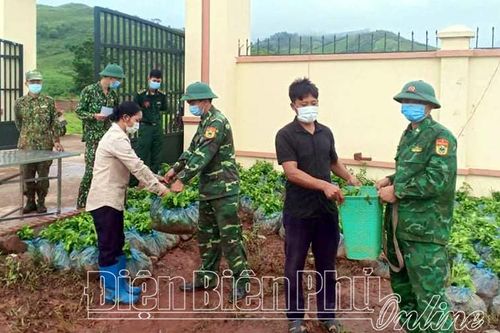 Hỗ trợ người dân Na Cô Sa 70.000 cây quế giống