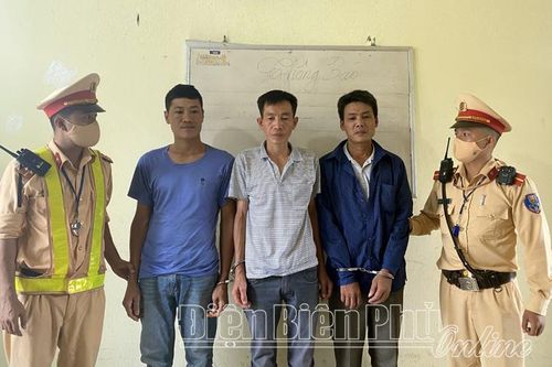 Bắt giữ 2 vụ, 3 đối tượng tàng trữ trái phép chất ma túy