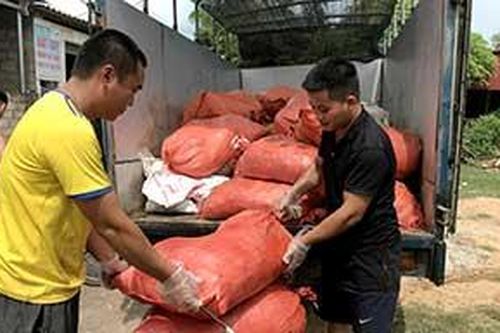 Khó trong quản lý thuế đối với hoạt động kinh doanh nhựa thôngTin khácPhát huy vai trò công tác tuyên giáo, tạo đồng thuận xã hôịSáng mãi truyền thống 'uống nước nhớ nguồn'