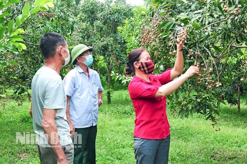 Nho Quan: Nâng cao nhận thức, trách nhiệm của cấp ủy trong công tác phát triển đảng viên