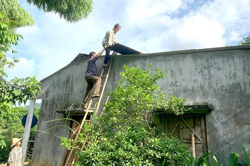 Người dân ổn định đời sống sau dông lốc
