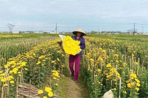 Kinh tế Nông nghiệp - Nông thôn Phát huy Quỹ Hỗ trợ nông dân