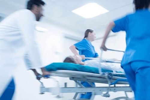 Đang nằm ngủ, cả gia đình chết thảm bởi loại côn trùng bí ẩn