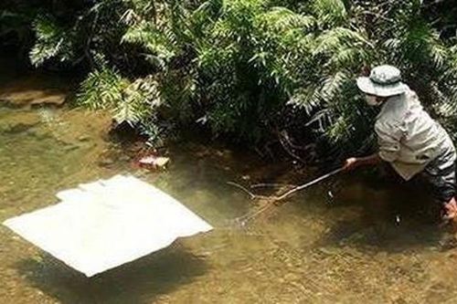 Đi hái sim, 3 học sinh ở Hà Tĩnh đuối nước tử vong