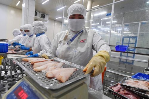 VASEP đề xuất thực hiện 'y tế tại chỗ'